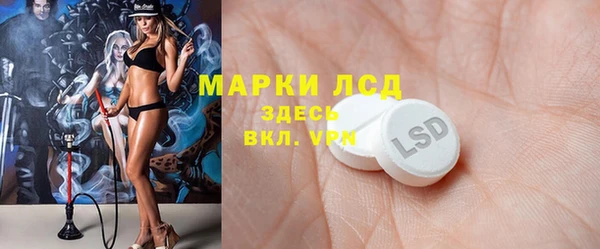 шишки Арсеньев