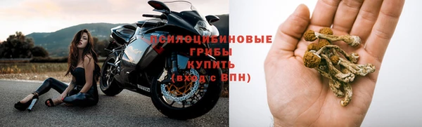 а пвп мука Орск