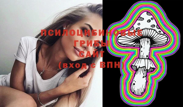 мяу мяу мука Аркадак