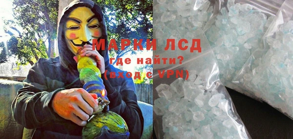 шишки Арсеньев