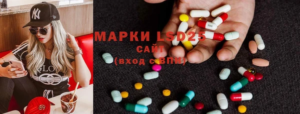 шишки Арсеньев