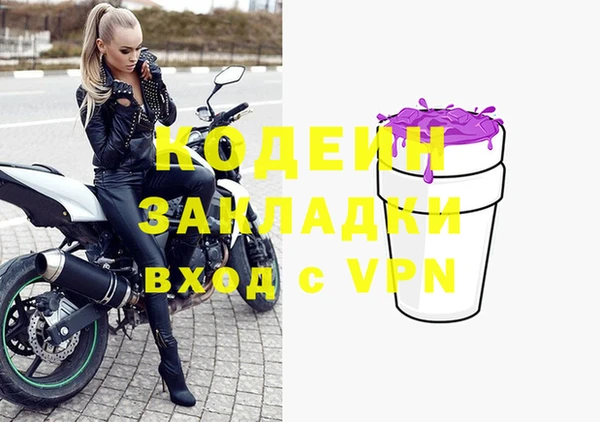 шишки Арсеньев