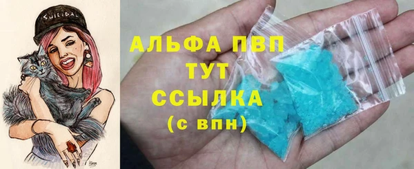 шишки Арсеньев