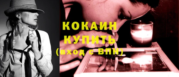 шишки Арсеньев
