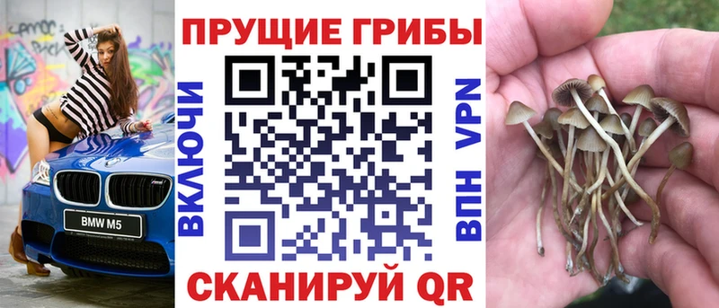 купить наркотик  блэк спрут сайт  Галлюциногенные грибы MAGIC MUSHROOMS  Беломорск 