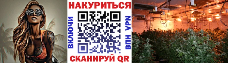 где купить наркоту  Беломорск  Шишки марихуана VHQ 